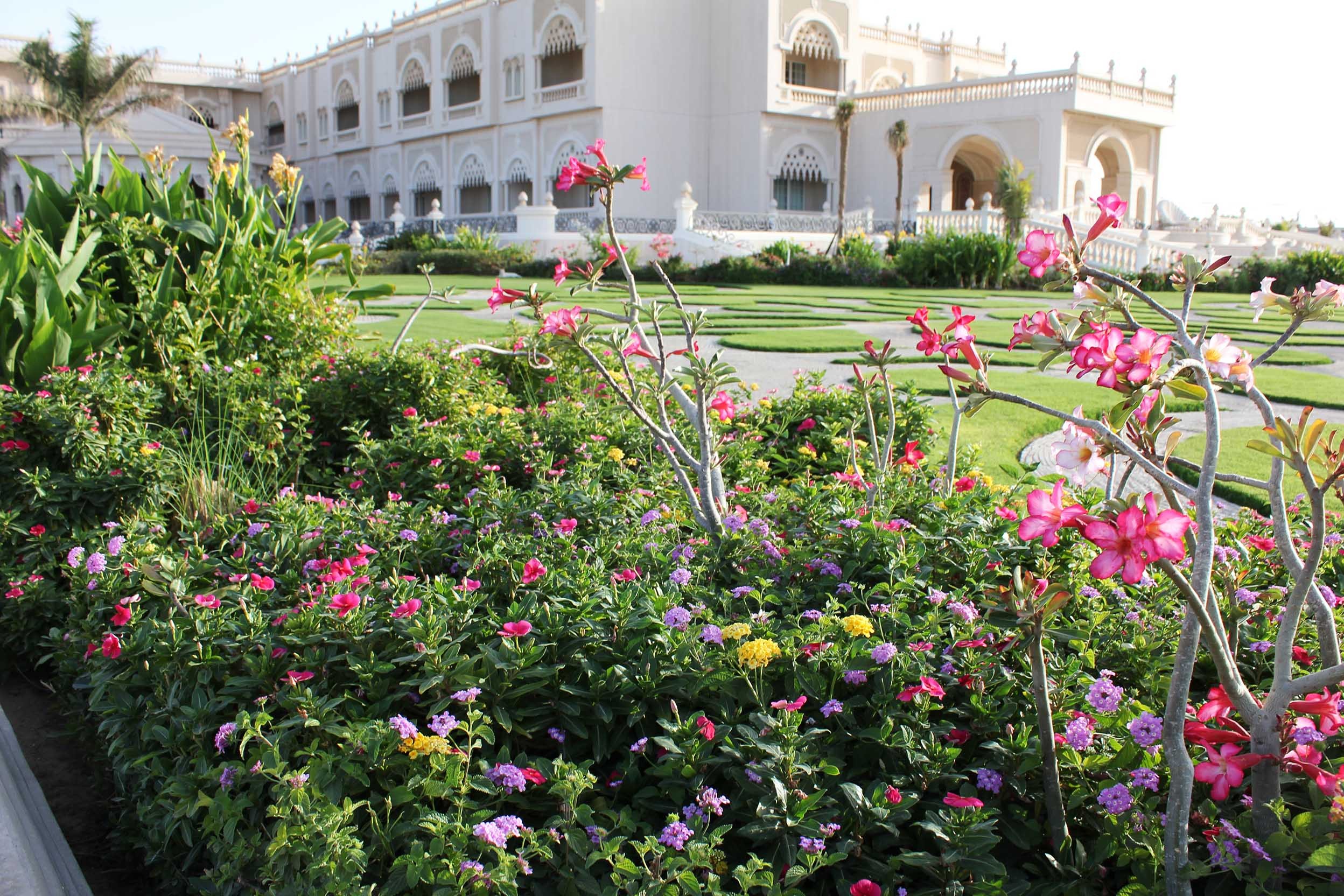 Royal Villa - Qatar - الحدائق