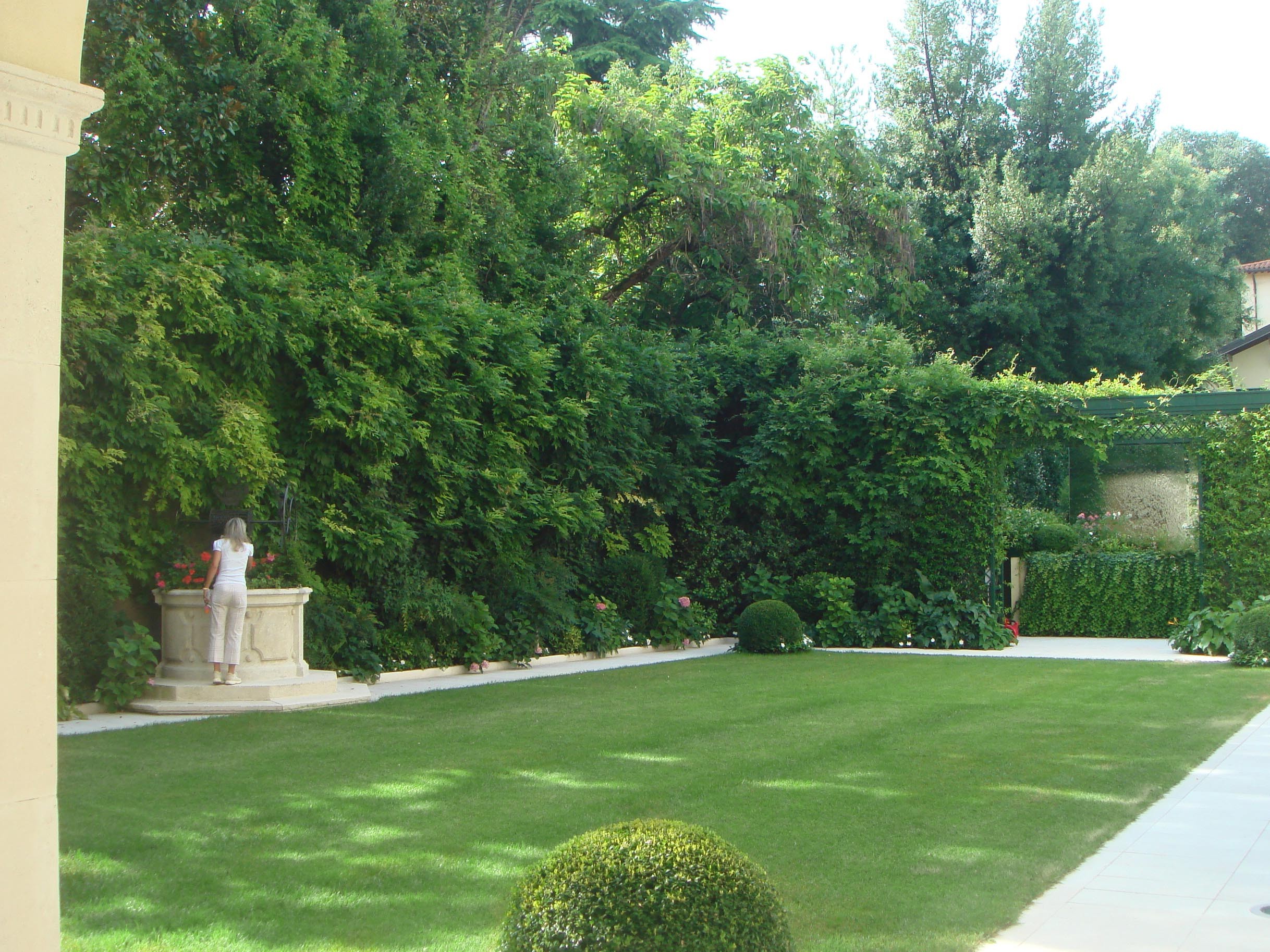 A small, luxuriant green garden retreat - Gardens