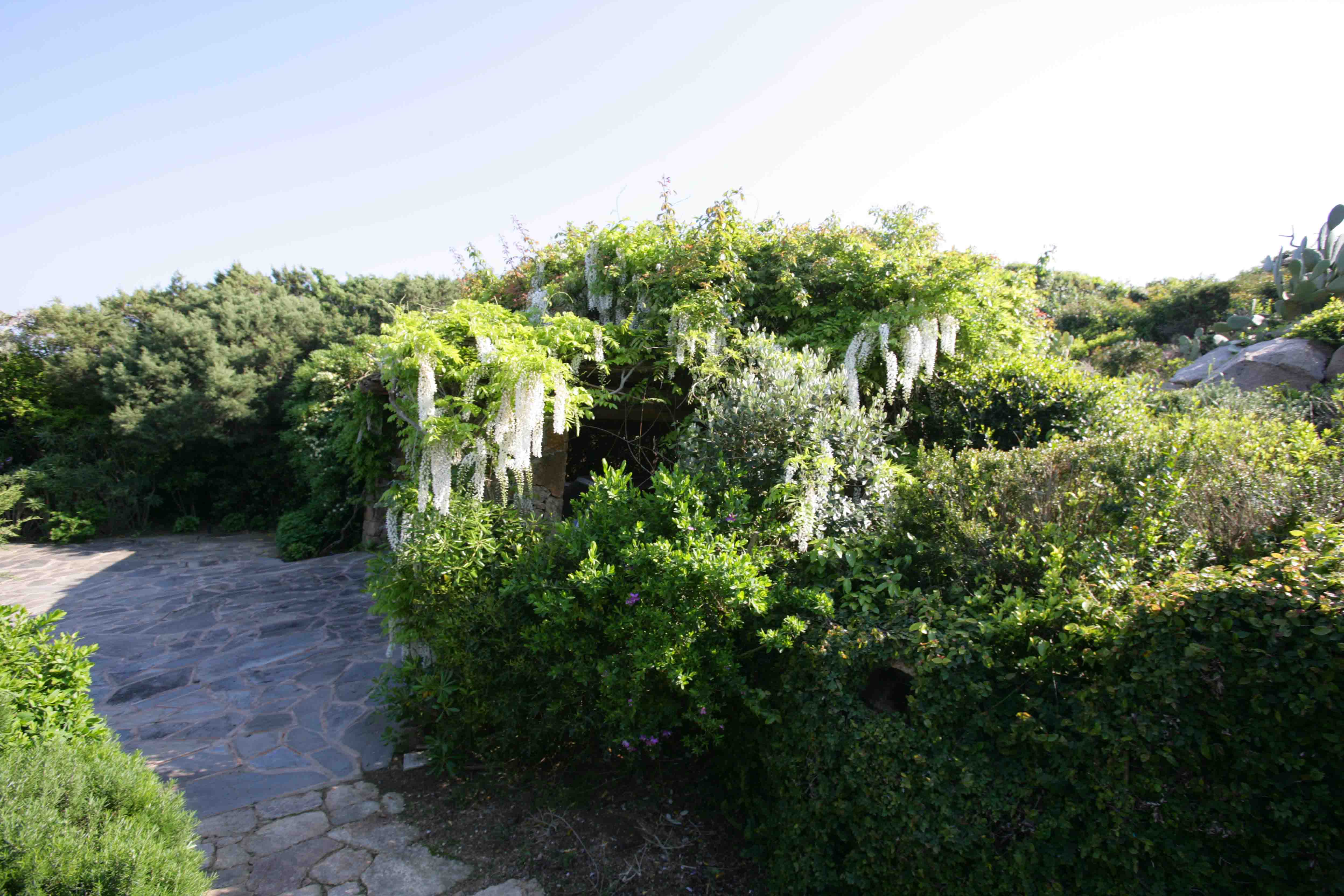 A beautiful garden in Sardinia - الحدائق