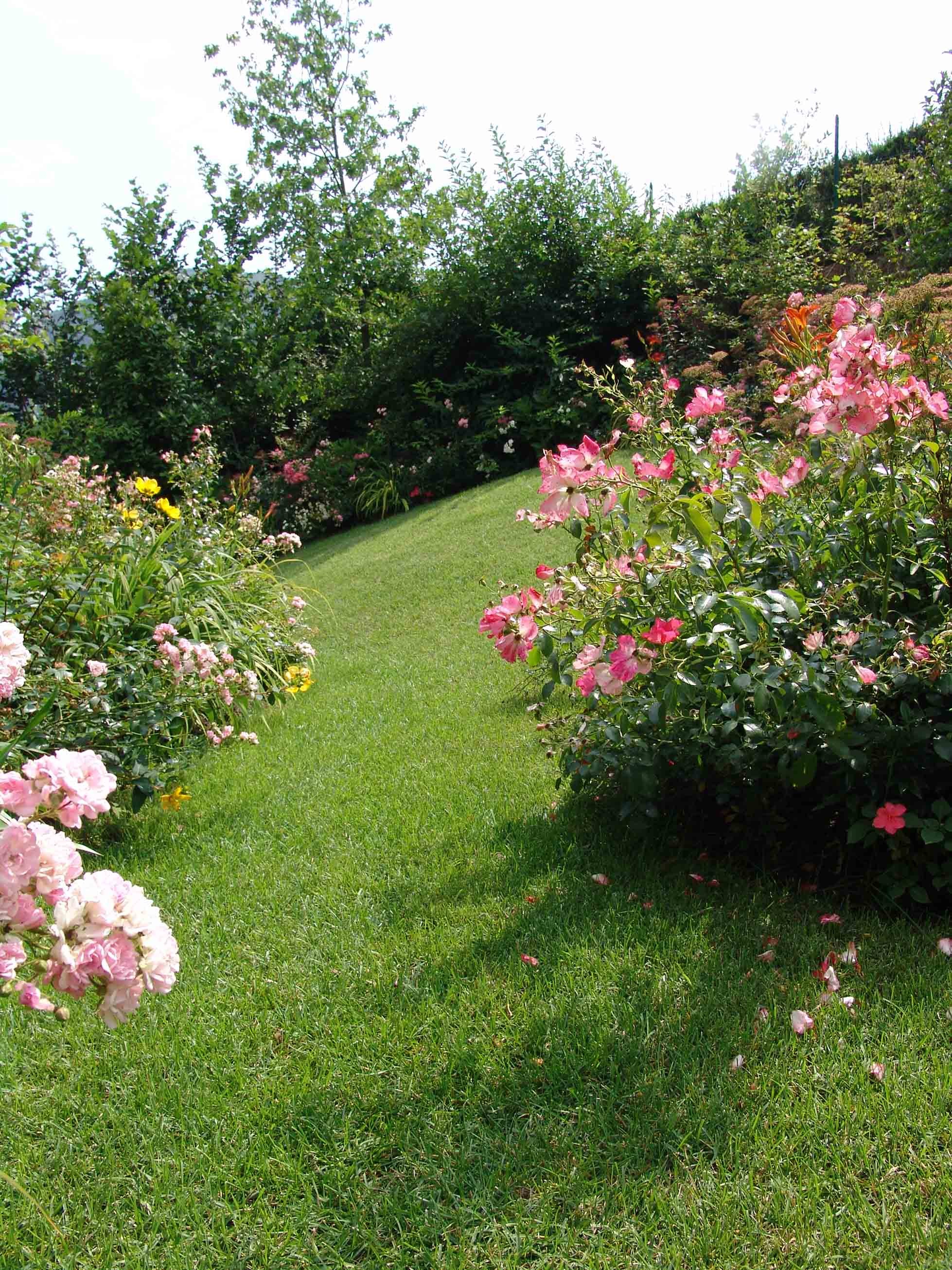 A small garden with vibrant colors - الحدائق