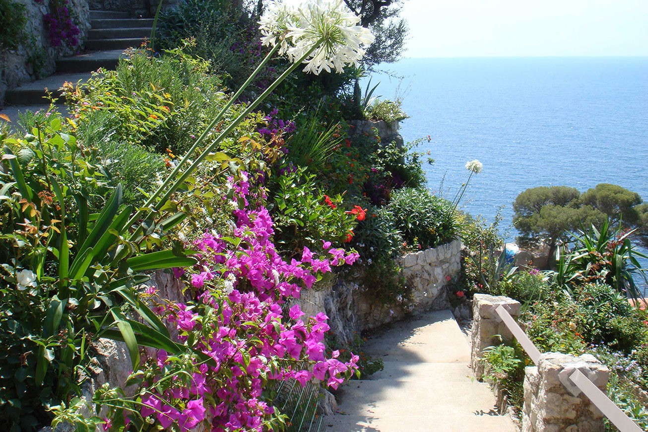 Vertically above the sea - Gardens