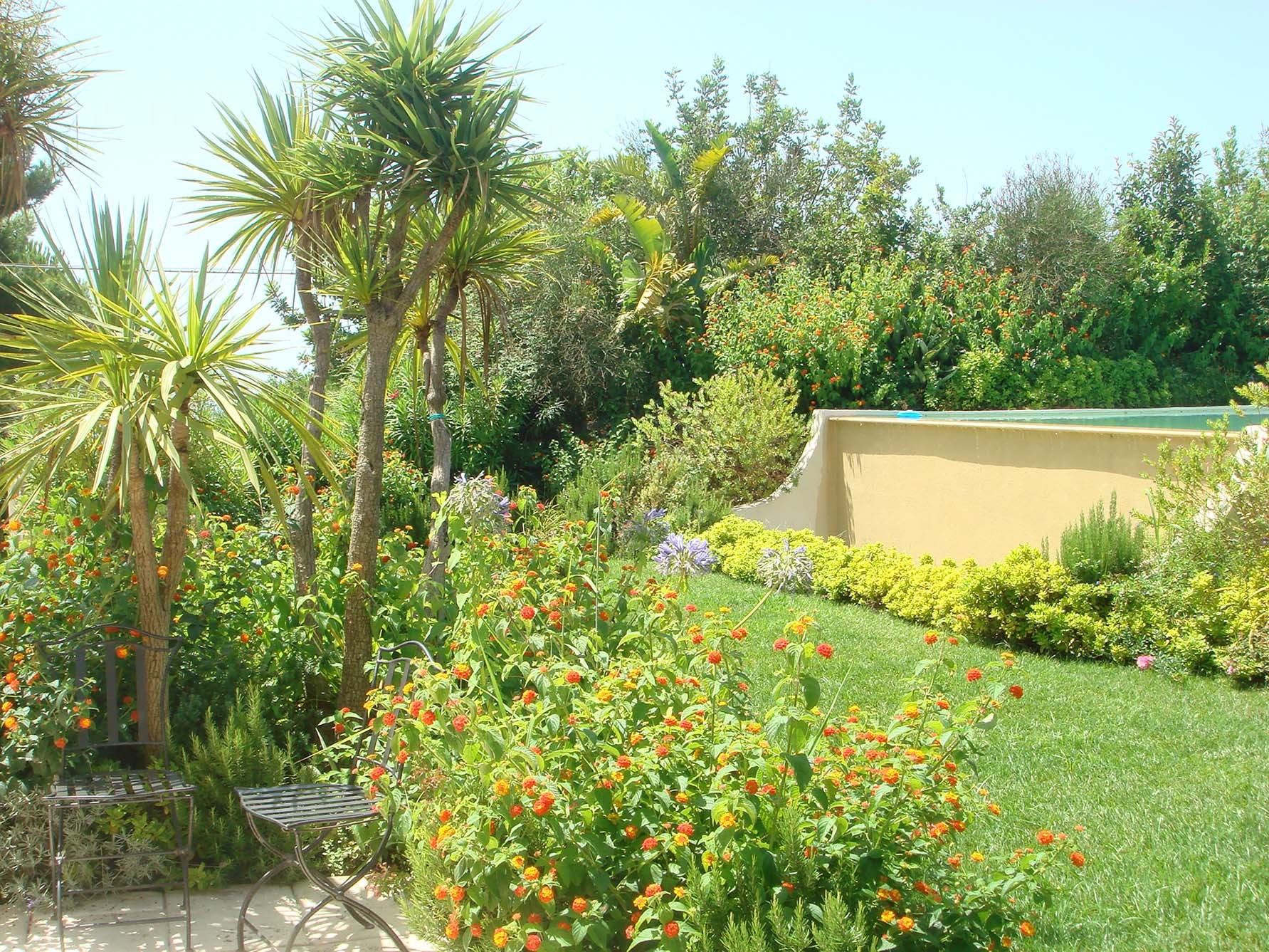 Little Mediterranean gem - Gardens