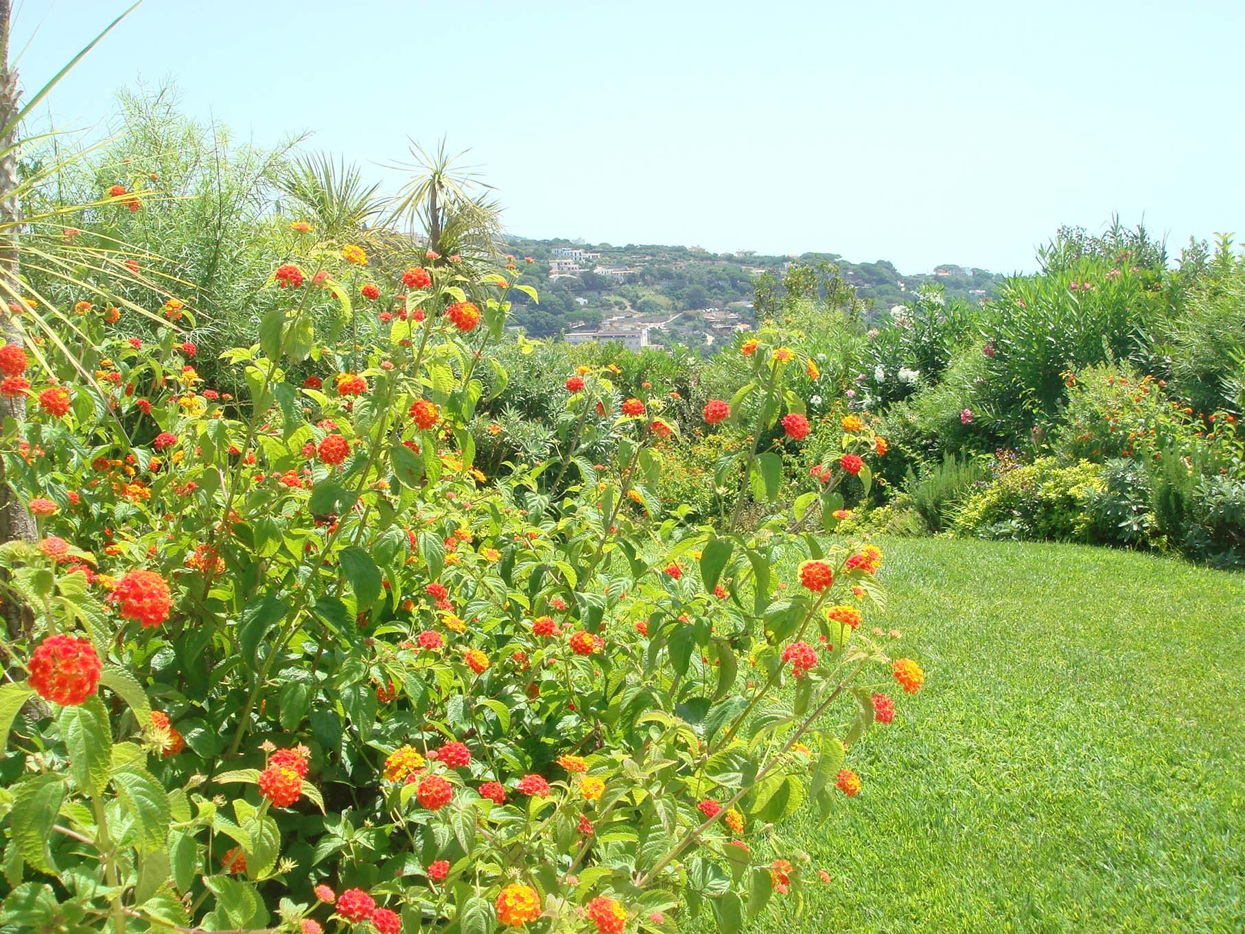 Little Mediterranean gem - الحدائق