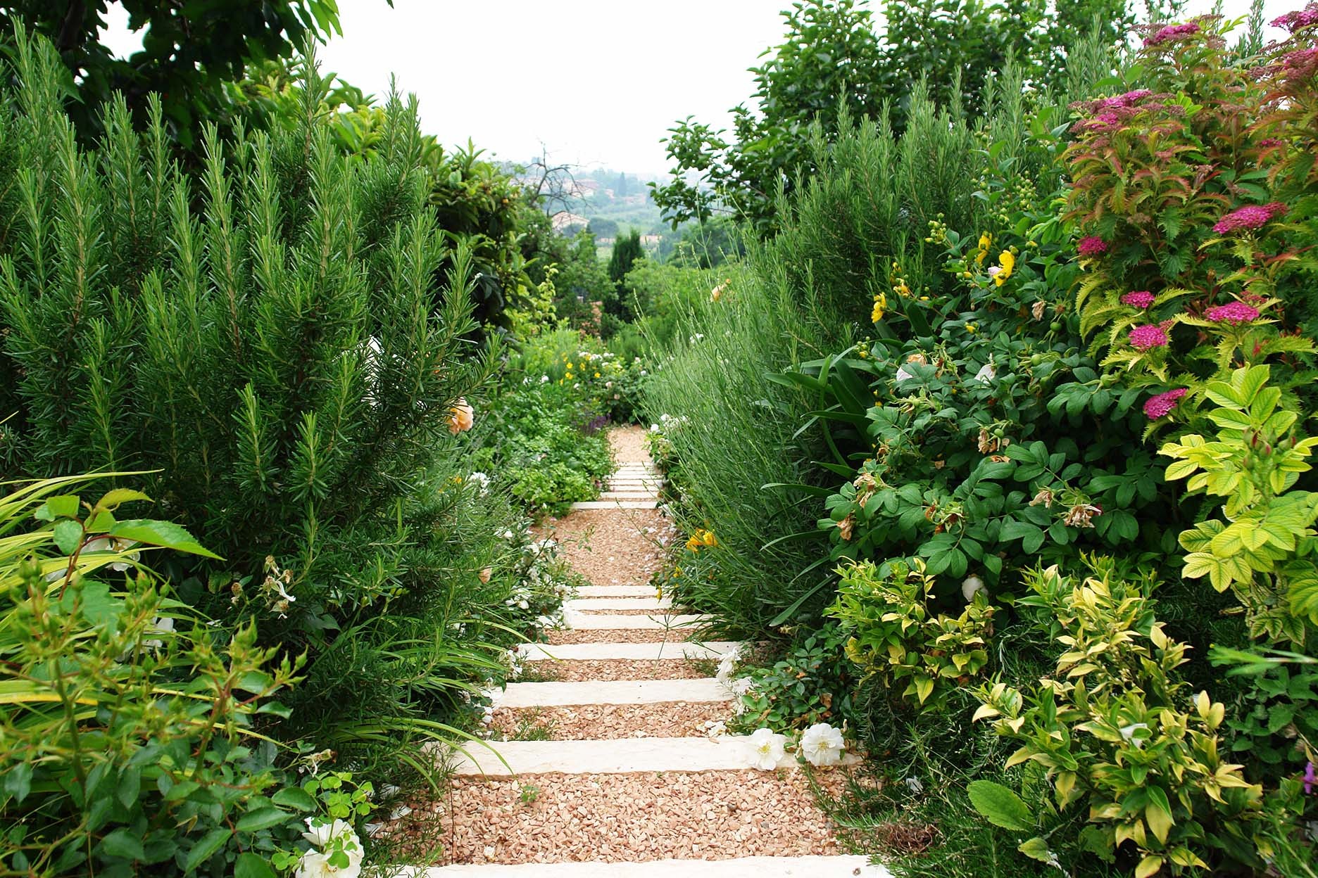 Mediterranean whiteness - Gardens