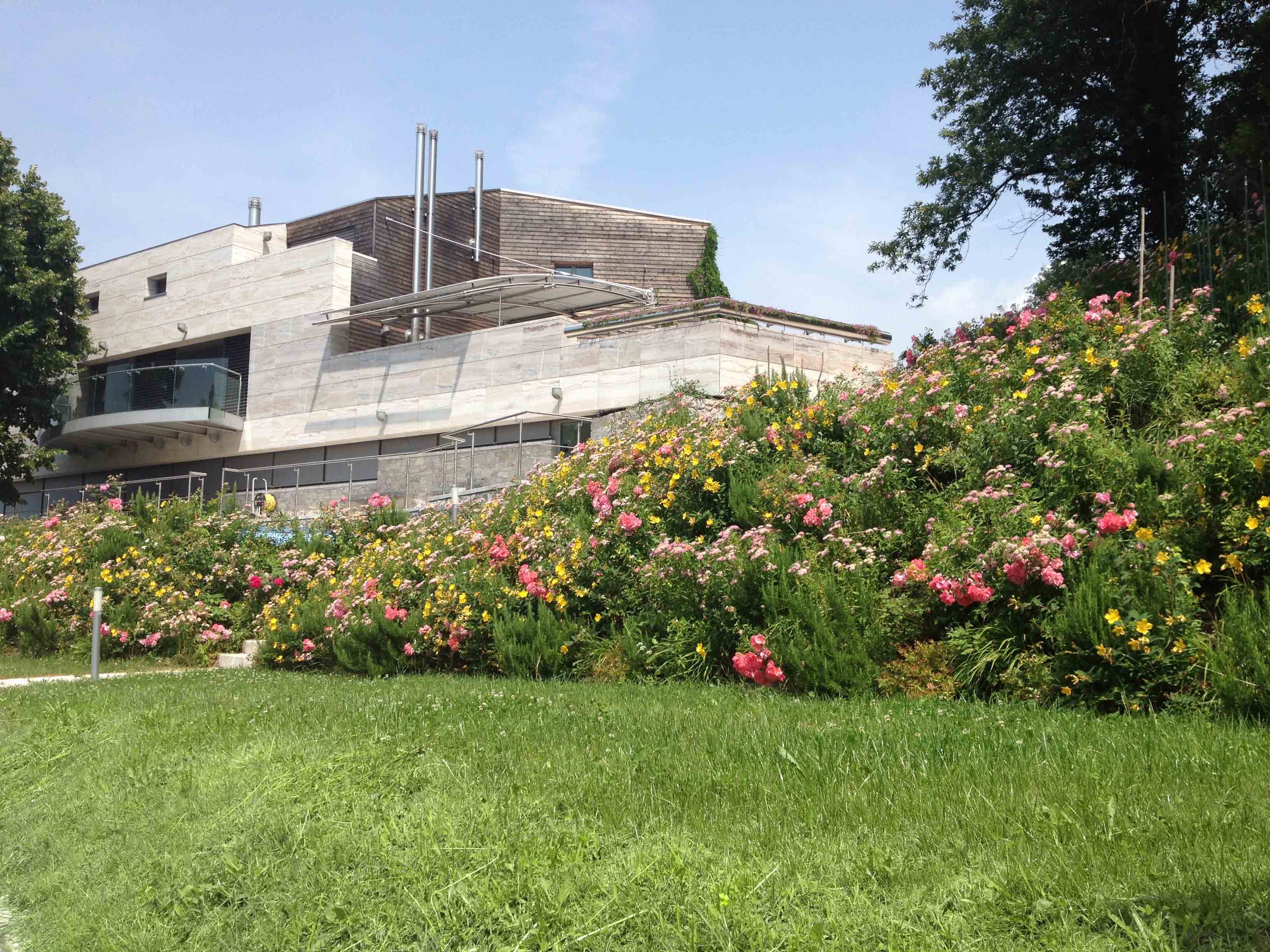 A villa resting among a thousand blooms - الحدائق