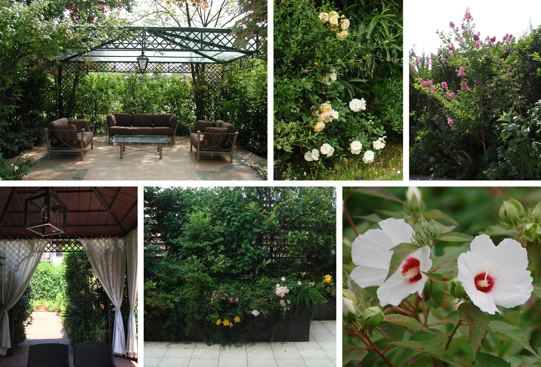 Villa among white blooms - Gardens