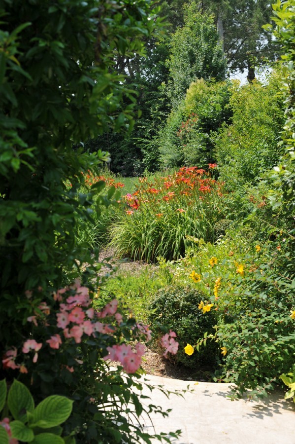 Titianesque colours in the embrace of the pinewood - Gardens